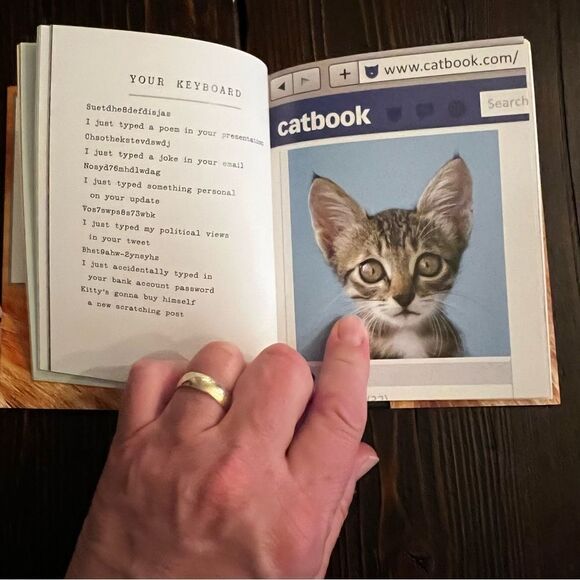 “I Could Pee on This and Other Poems by Cats” - Picture 2 of 6